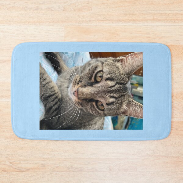 Item preview, Tabby Face designed and sold by Amanda1775.