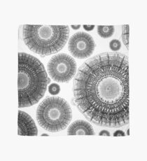 Bacterial RDAR colonies monochrome Scarf