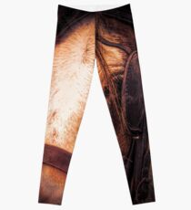 Clydesdale Leggings