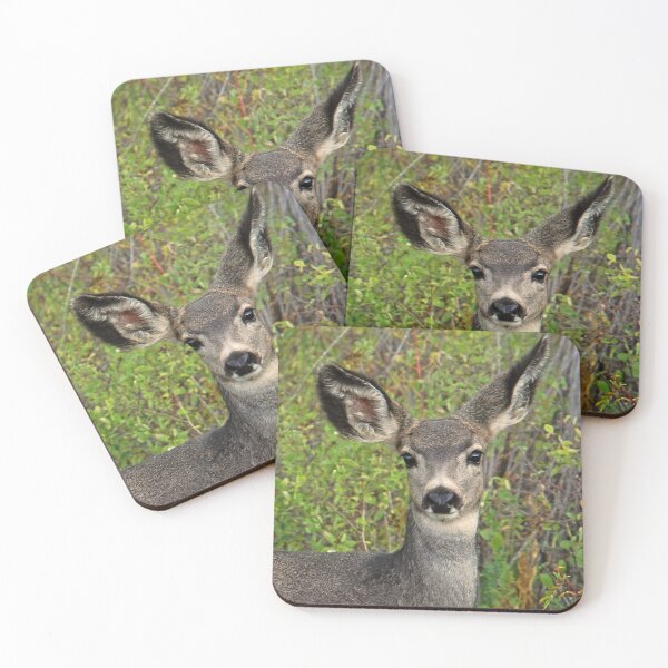 Item preview, Mule Deer Fawn Looking at you designed and sold by Rodney55.