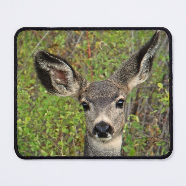 Item preview, Mule Deer Fawn Looking at you designed and sold by Rodney55.