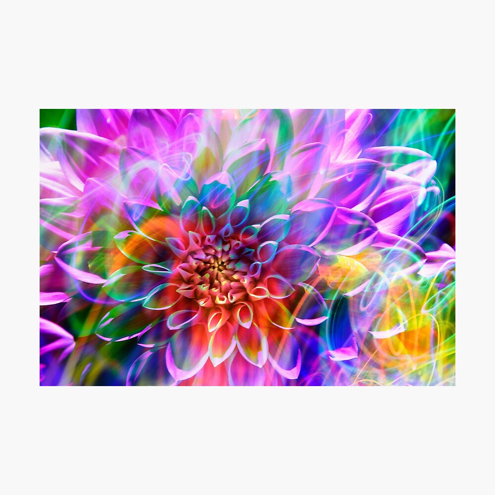 "Crosshairs of a Perpetual Doppler Shift" Photographic Print