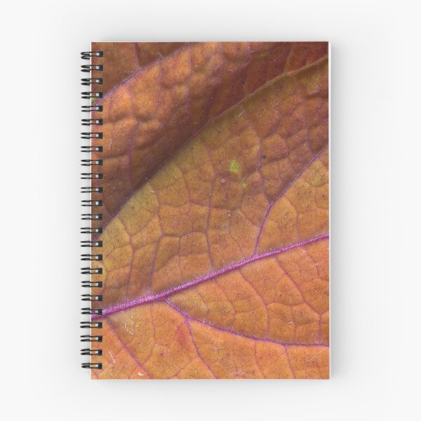 Item preview, Hills and River of Coleus designed and sold by Adam Bykowski.