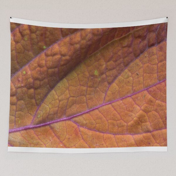 Item preview, Hills and River of Coleus designed and sold by Adam Bykowski.