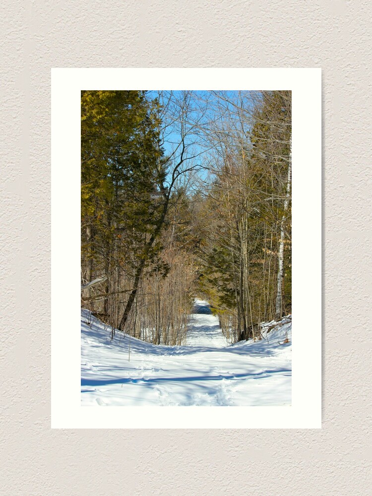 Alternate view of March Path Art Print