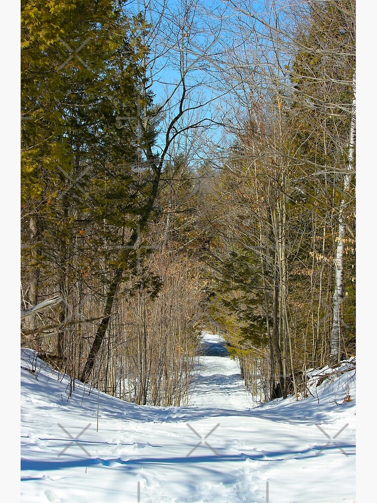 March Path by debfaraday