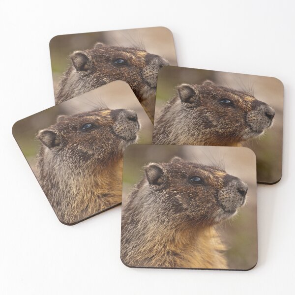 Item preview,  Marmot Sunny Smiles From  Den designed and sold by Rodney55.