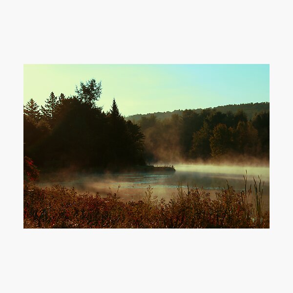 season's change Photographic Print