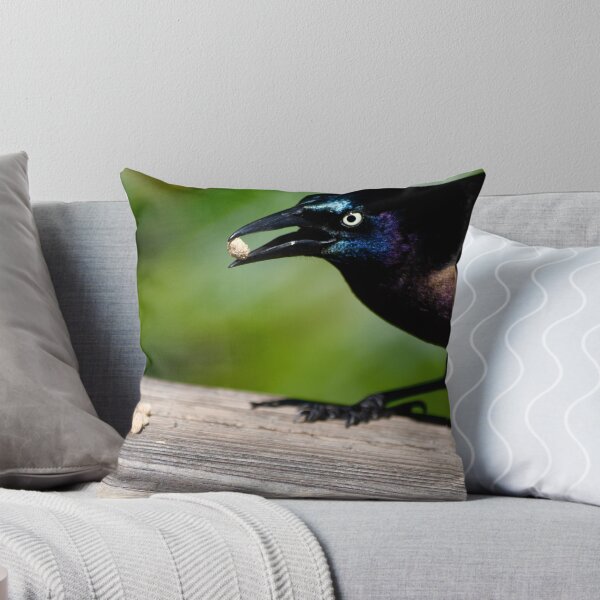 Item preview, Snack for a Grackle designed and sold by richardbryce.