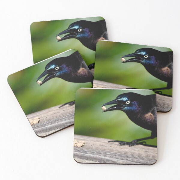 Item preview, Snack for a Grackle designed and sold by richardbryce.