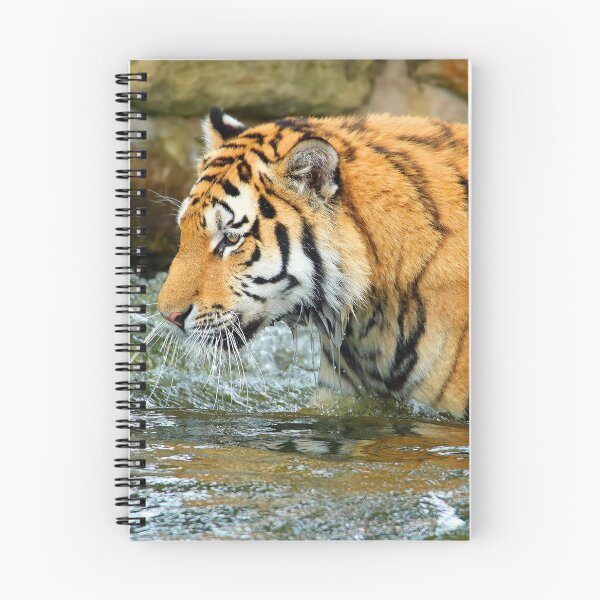 Item preview, The Eye Of The Tiger - 1 designed and sold by Colin  Williams Photography.