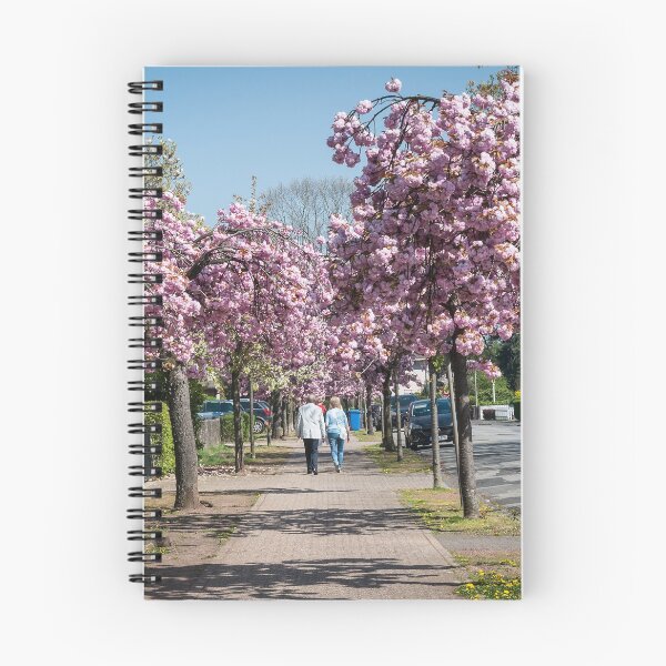 Item preview, Cherry Blossom Time in Büderich. designed and sold by David A. L. Davies.