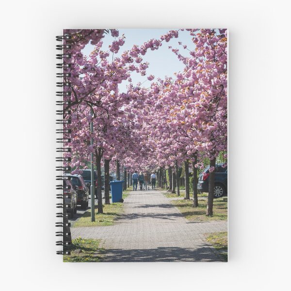 Item preview, Cherry Blossom Time in MB-Büderich. designed and sold by David A. L. Davies.