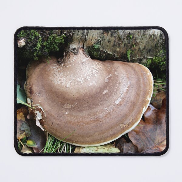 Item preview, fungi designed and sold by KathleenDawson.