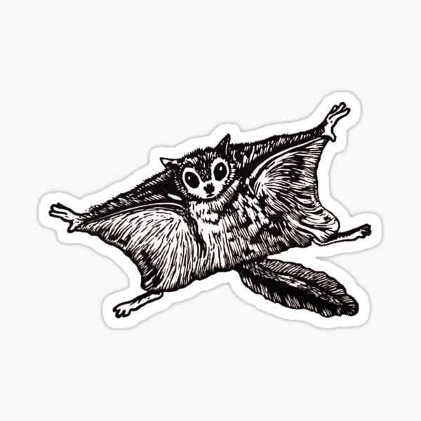 Item preview, Flying Squirrel linocut designed and sold by Una Scott.