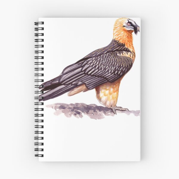 Item preview, Bearded Vulture designed and sold by JeanMerz.
