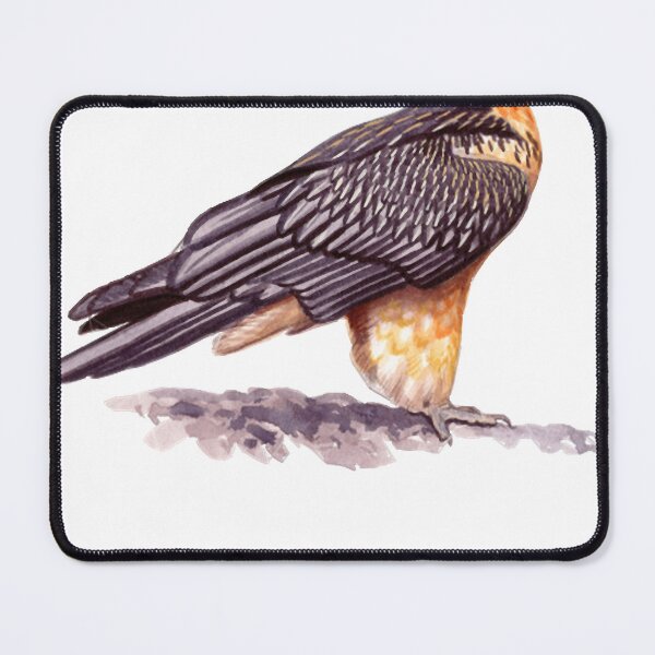 Item preview, Bearded Vulture designed and sold by JeanMerz.