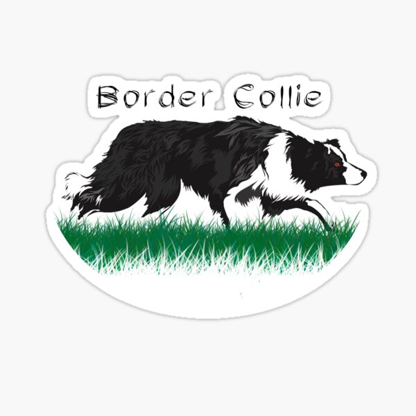 Item preview, Border Collie designed and sold by OvisNigra.