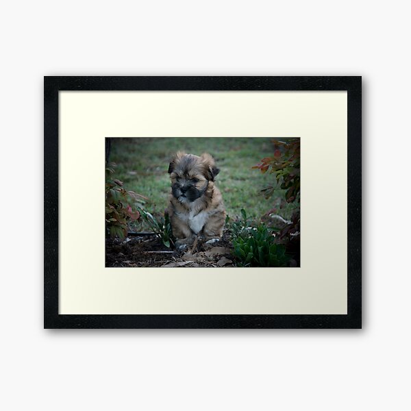 Watching Framed Art Print