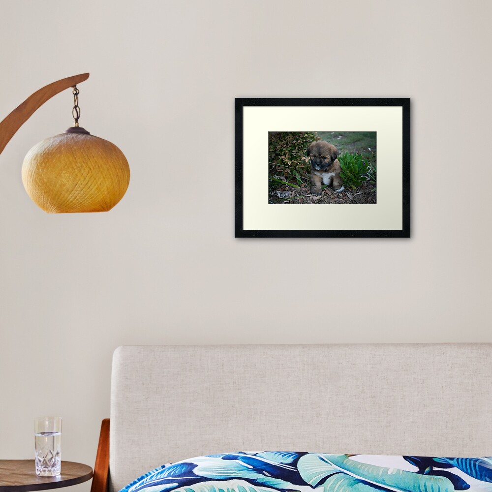 Gardening Framed Art Print