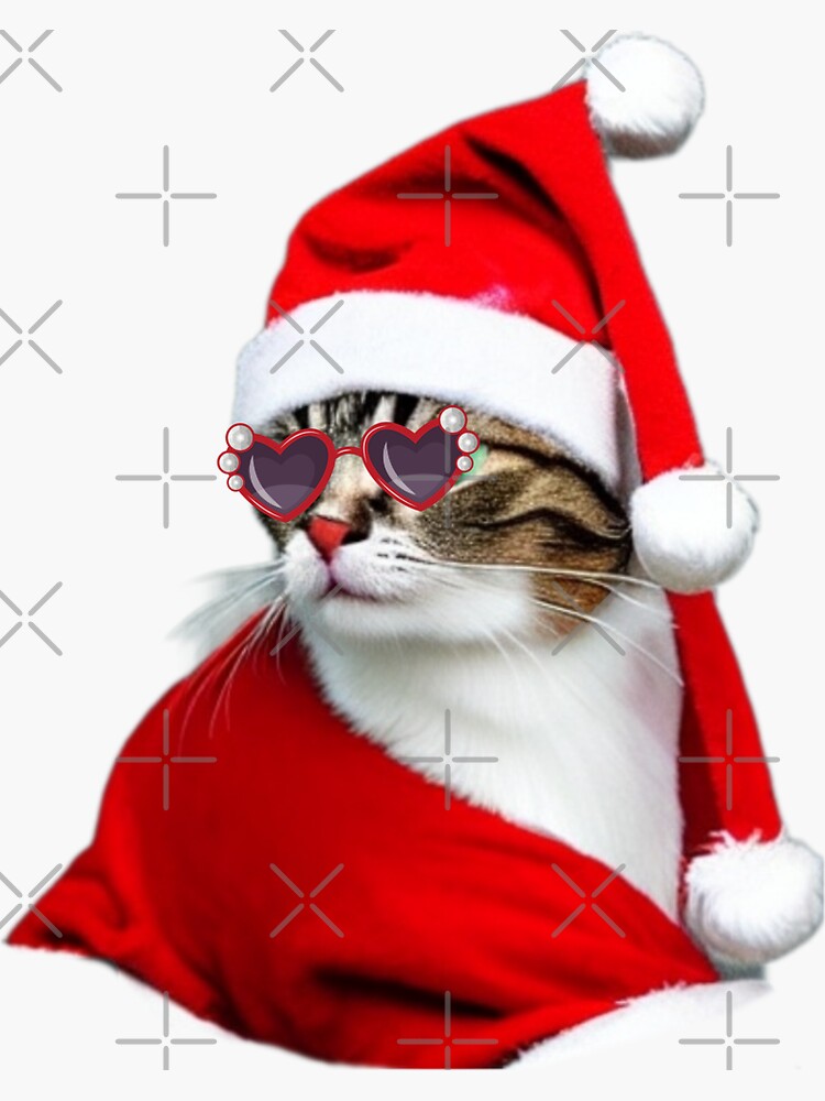 Santa kitten 2025