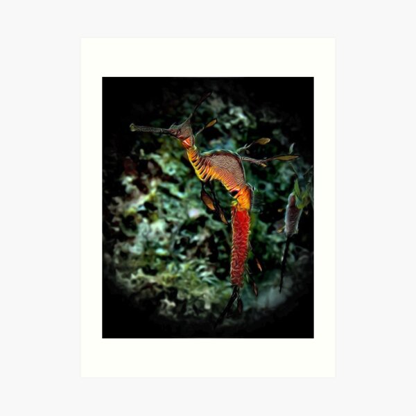 WEEDY SEA DRAGON 'SEAHORSE TRUST' ART Art Print