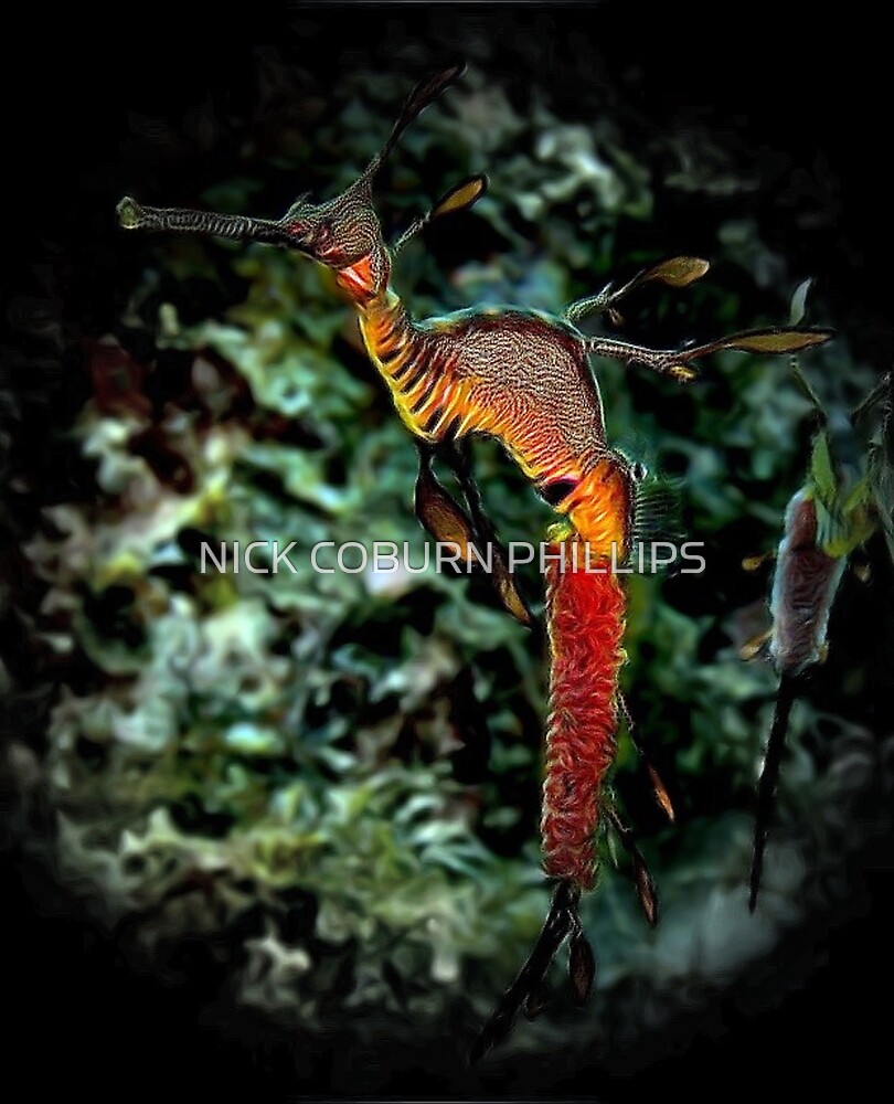 "WEEDY SEA DRAGON 'SEAHORSE TRUST' ART" by NICK COBURN PHILLIPS Redbubble
