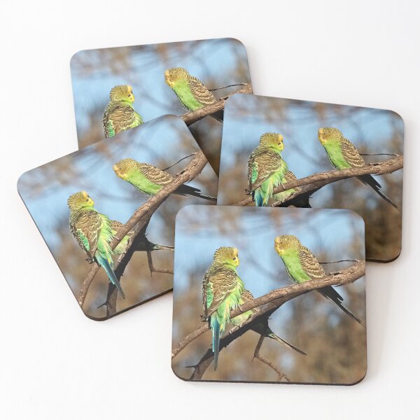 Item preview, Wild and Free ~ Budgerigars designed and sold by Robert Elliott.