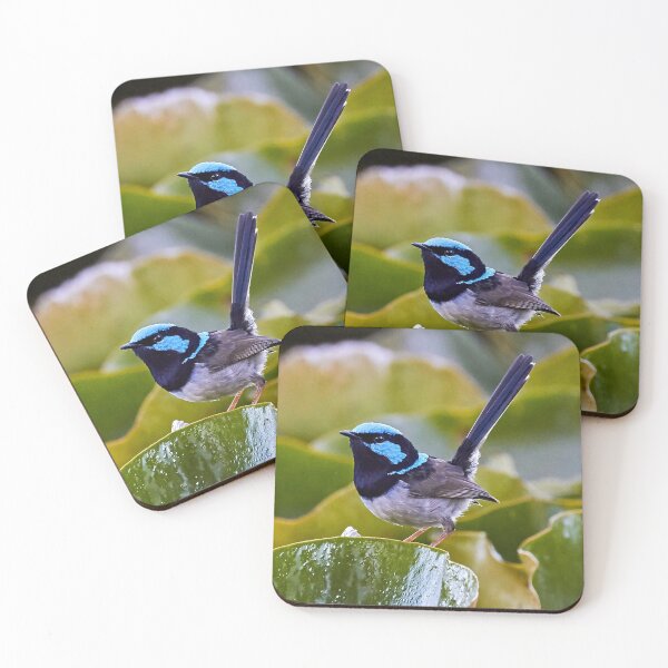 Item preview, Superb Fairy-wren  designed and sold by Robert Elliott.