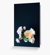 English roses Greeting Card