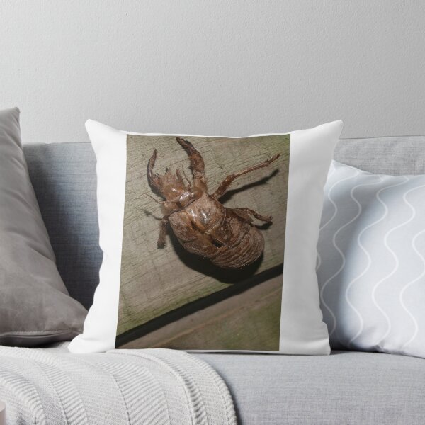 Item preview, Bugged designed and sold by Tom McDonnell.