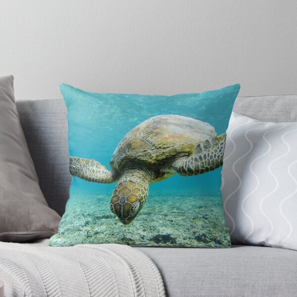Item preview, Turtle magic  designed and sold by tracyleephoto.
