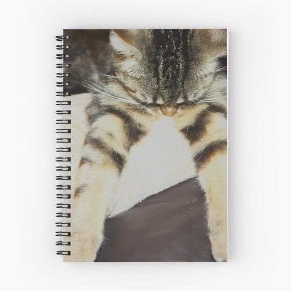 Item preview, funny tabby designed and sold by Francespoppy.