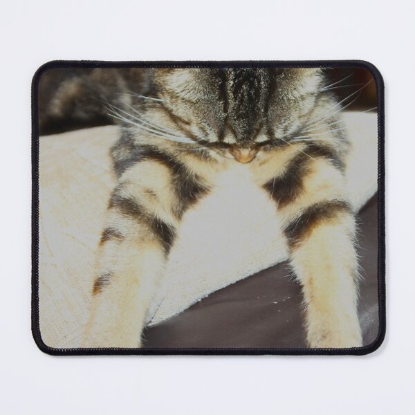 Item preview, funny tabby designed and sold by Francespoppy.