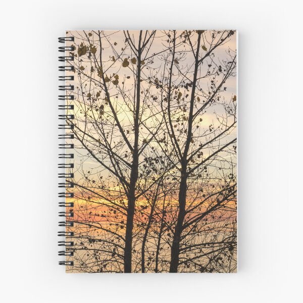 Item preview, Lacy Poplar Screen - Glorious Autumn Sunrise on the Lakeshore designed and sold by Georgia Mizuleva.