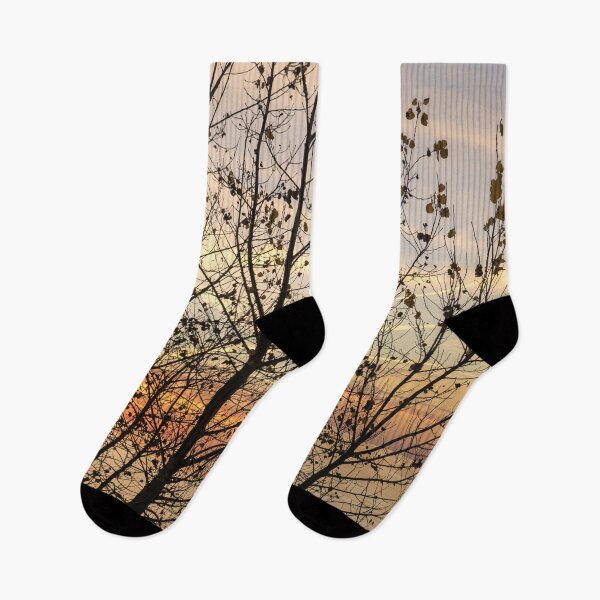 Item preview, Lacy Poplar Screen - Glorious Autumn Sunrise on the Lakeshore designed and sold by Georgia Mizuleva.