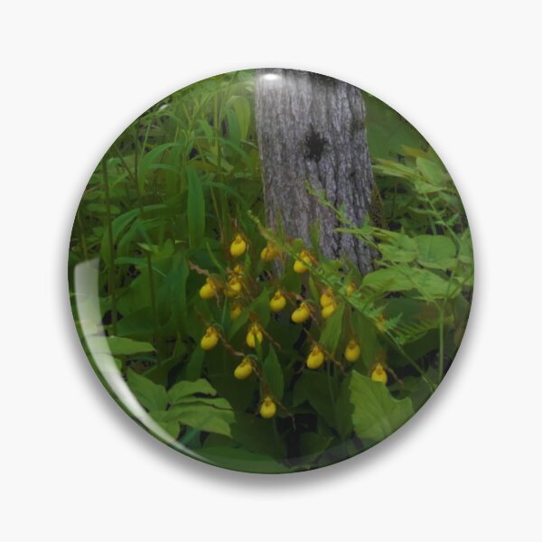 Awe in the Forest Pin