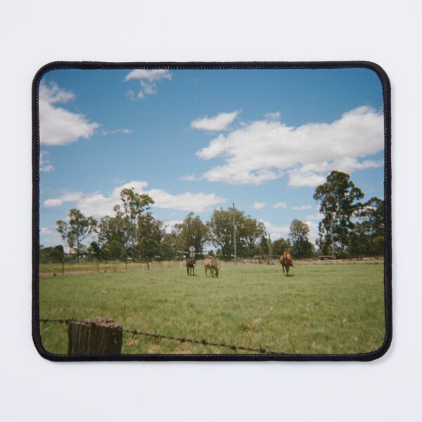 Item preview, Southern Downs country on 35mm film designed and sold by Dominique Tassell.