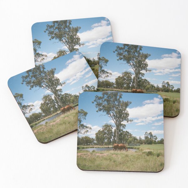 Item preview, Southern Downs country on 35mm film designed and sold by Dominique Tassell.