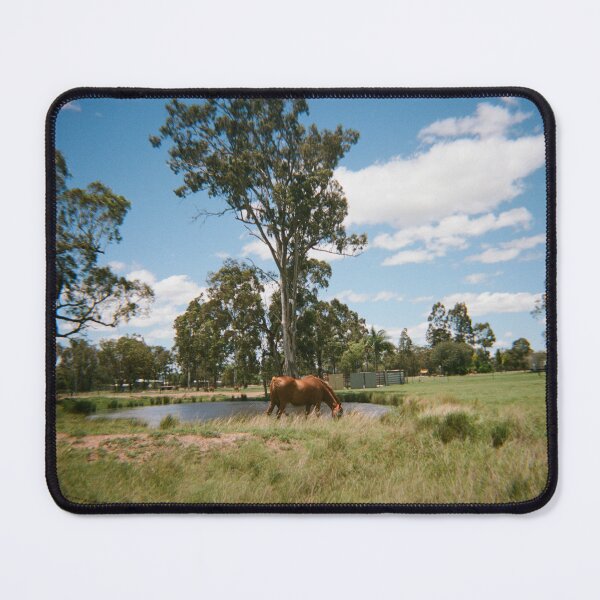 Item preview, Southern Downs country on 35mm film designed and sold by Dominique Tassell.