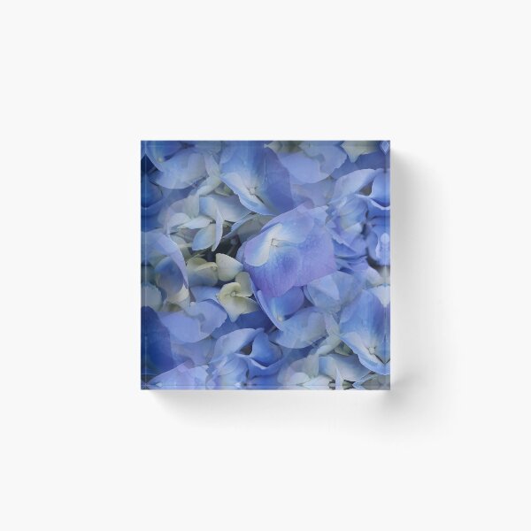 Item preview, Blue Hydrangea designed and sold by NeonPink.