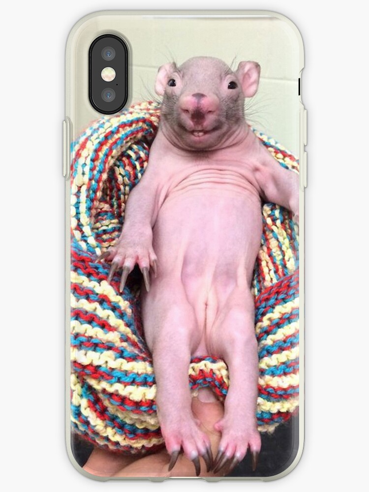 coque iphone 6 rat