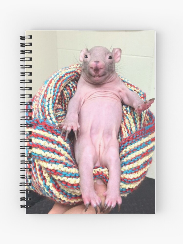 Naked Mole Rat In Chair Spiral Notebook By Rookynightwing Redbubble