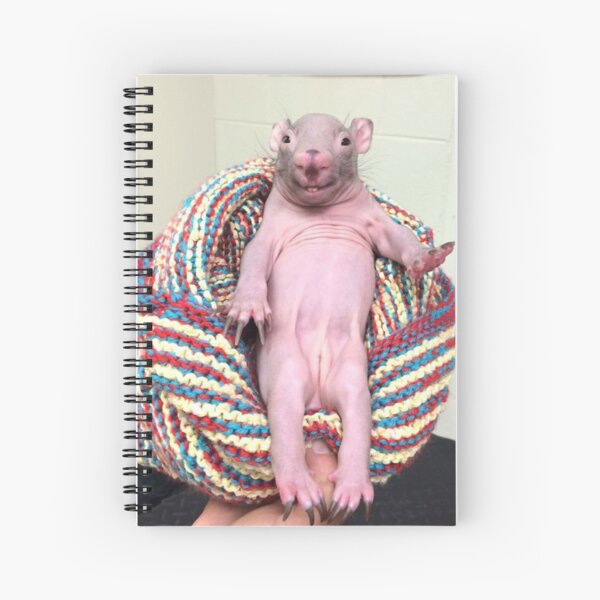 Naked Mole Rat In Chair Spiral Notebook