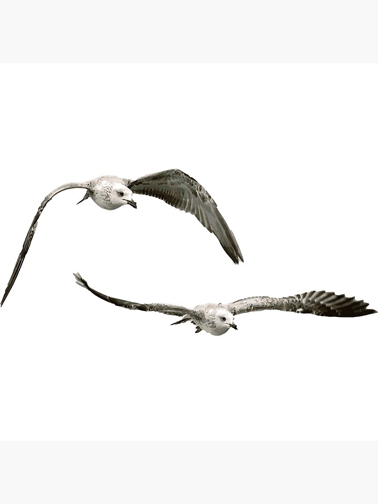 "Seabirds Pair" Poster for Sale by Zoostuffs Redbubble