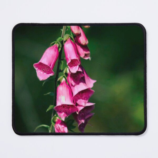 Item preview, foxgloves designed and sold by Francespoppy.