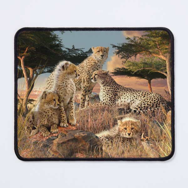 Item preview, Cheetahs designed and sold by DavidPenfound.