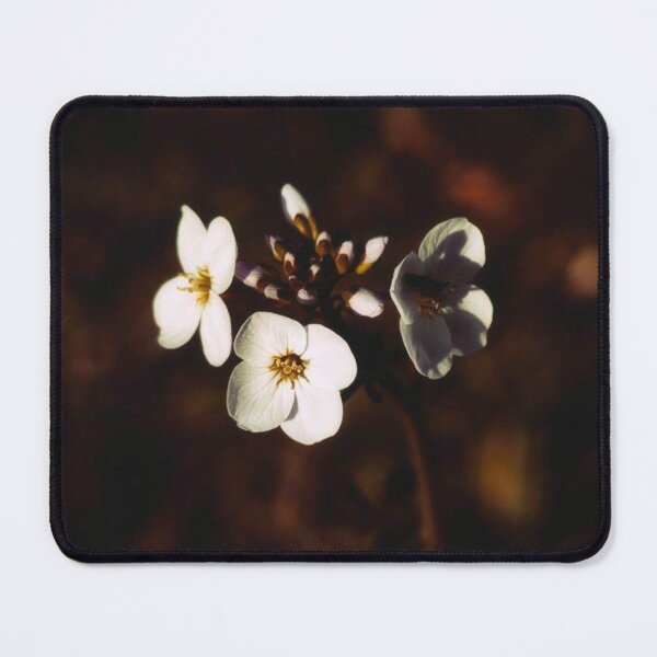 Item preview, white wildflower designed and sold by Francespoppy.