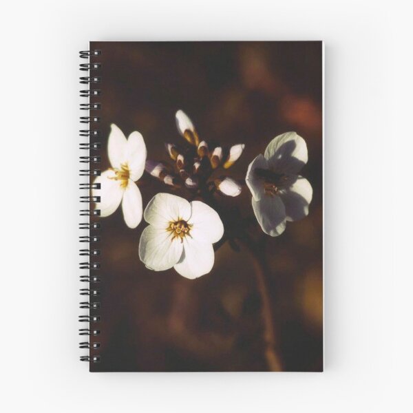 Item preview, white wildflower designed and sold by Francespoppy.