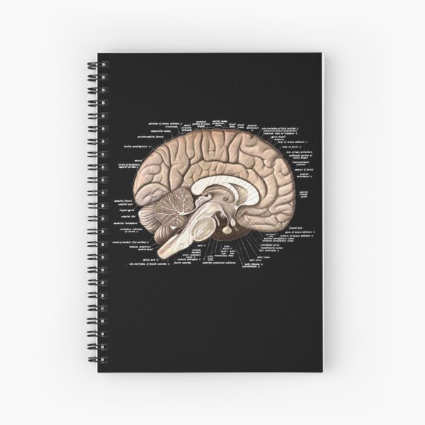 Brain Anatomy Spiral Notebook